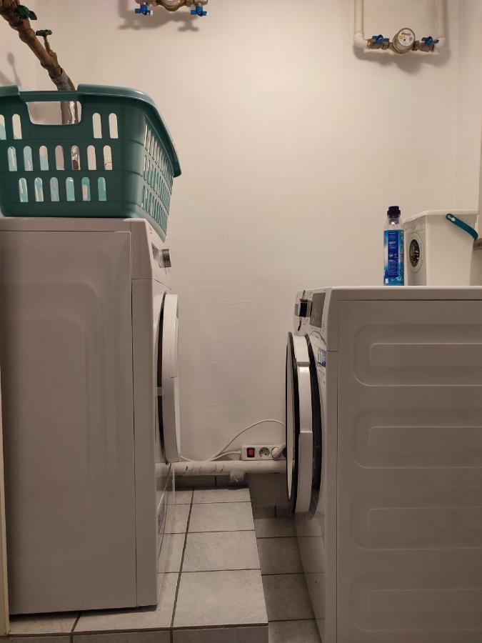 Gemuetliche Zwei-Zimmer-Wohnung Am Regnitzufer Bamberg Ngoại thất bức ảnh