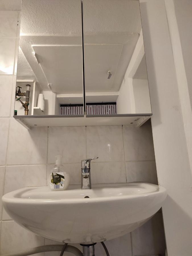 Gemuetliche Zwei-Zimmer-Wohnung Am Regnitzufer Bamberg Ngoại thất bức ảnh