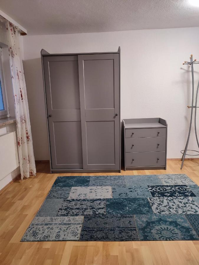 Gemuetliche Zwei-Zimmer-Wohnung Am Regnitzufer Bamberg Ngoại thất bức ảnh